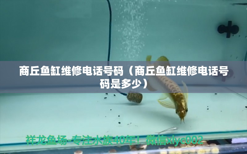 商丘魚缸維修電話號(hào)碼（商丘魚缸維修電話號(hào)碼是多少） 其他品牌魚缸