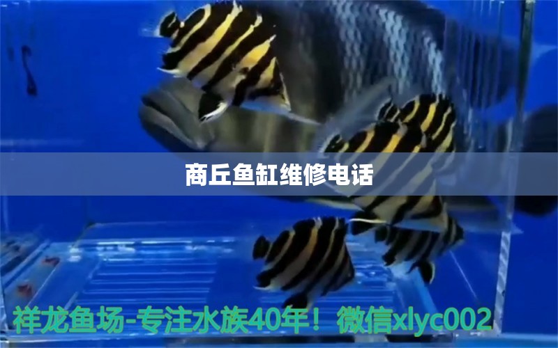 商丘魚(yú)缸維修電話 其他品牌魚(yú)缸