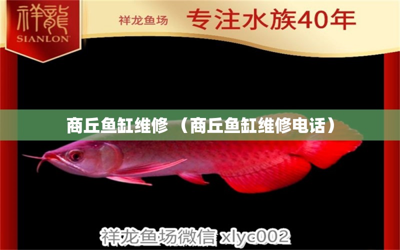 商丘魚(yú)缸維修 （商丘魚(yú)缸維修電話(huà)） 觀賞魚(yú)市場(chǎng)（混養(yǎng)魚(yú)） 第1張