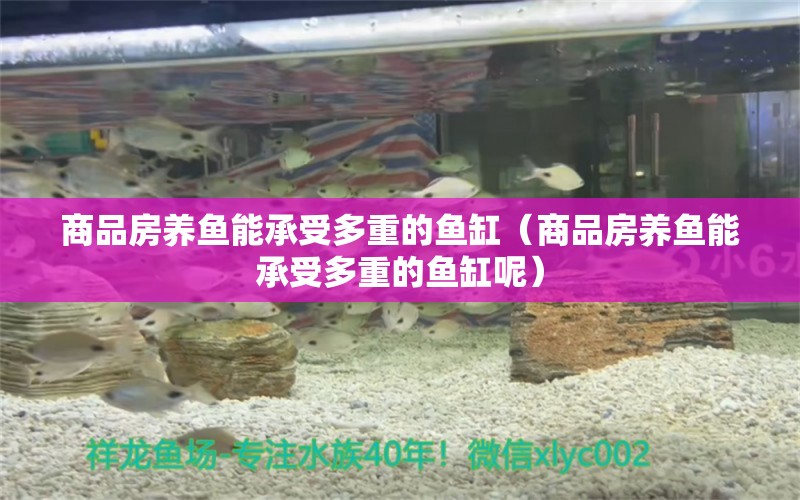 商品房養(yǎng)魚能承受多重的魚缸（商品房養(yǎng)魚能承受多重的魚缸呢）