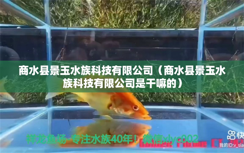 商水縣景玉水族科技有限公司（商水縣景玉水族科技有限公司是干嘛的）