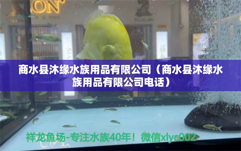 商水縣沐緣水族用品有限公司（商水縣沐緣水族用品有限公司電話） 水族用品