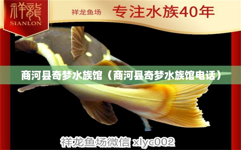 商河縣奇夢(mèng)水族館（商河縣奇夢(mèng)水族館電話）