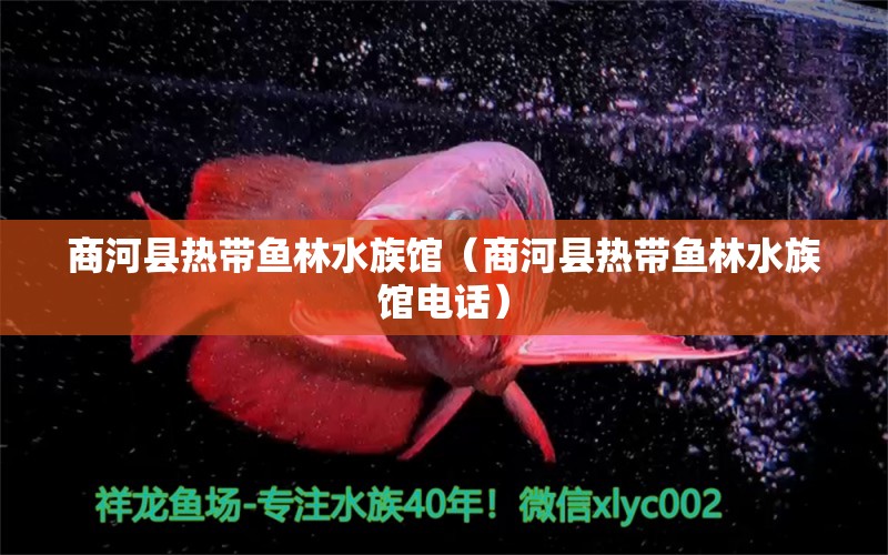 商河縣熱帶魚(yú)林水族館（商河縣熱帶魚(yú)林水族館電話）