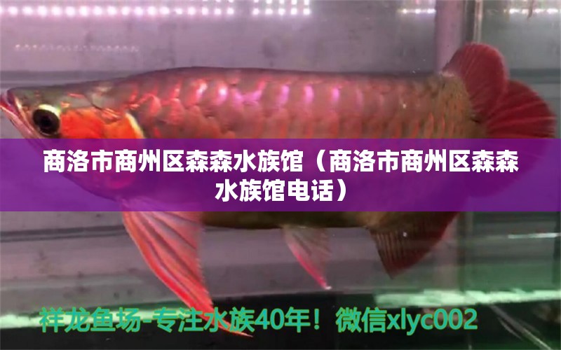 商洛市商州區(qū)森森水族館（商洛市商州區(qū)森森水族館電話） 全國(guó)水族館企業(yè)名錄