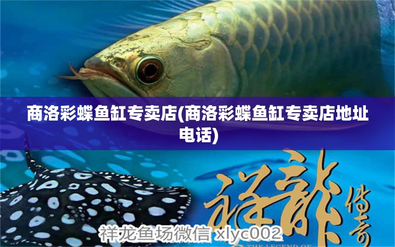 商洛彩蝶魚(yú)缸專(zhuān)賣(mài)店(商洛彩蝶魚(yú)缸專(zhuān)賣(mài)店地址電話) 彩鰈魚(yú)缸（彩蝶魚(yú)缸） 第1張