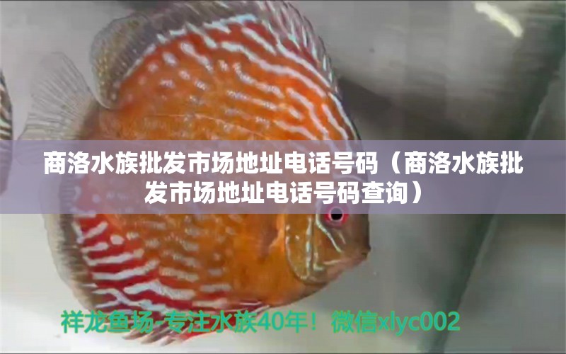 商洛水族批發(fā)市場地址電話號碼（商洛水族批發(fā)市場地址電話號碼查詢） 觀賞魚水族批發(fā)市場