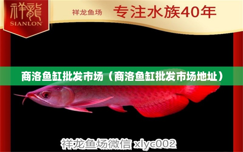 商洛魚(yú)缸批發(fā)市場(chǎng)（商洛魚(yú)缸批發(fā)市場(chǎng)地址）