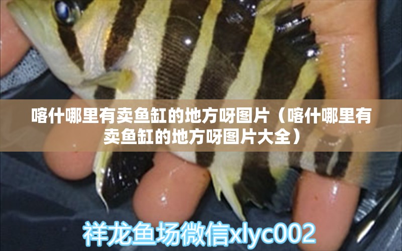 喀什哪里有賣魚缸的地方呀圖片（喀什哪里有賣魚缸的地方呀圖片大全） 祥龍水族醫(yī)院