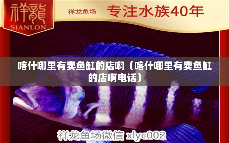 喀什哪里有賣魚缸的店啊（喀什哪里有賣魚缸的店啊電話）