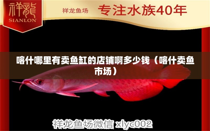 喀什哪里有賣魚缸的店鋪啊多少錢（喀什賣魚市場） 黃金河虎魚