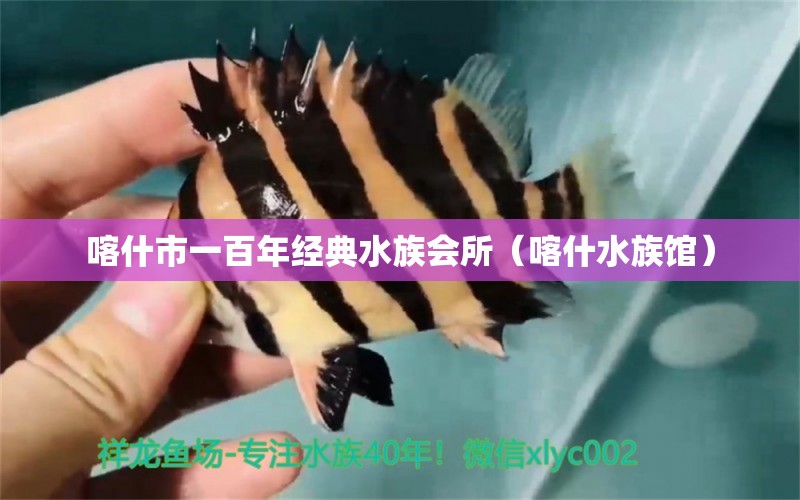 喀什市一百年經(jīng)典水族會所（喀什水族館） 全國水族館企業(yè)名錄