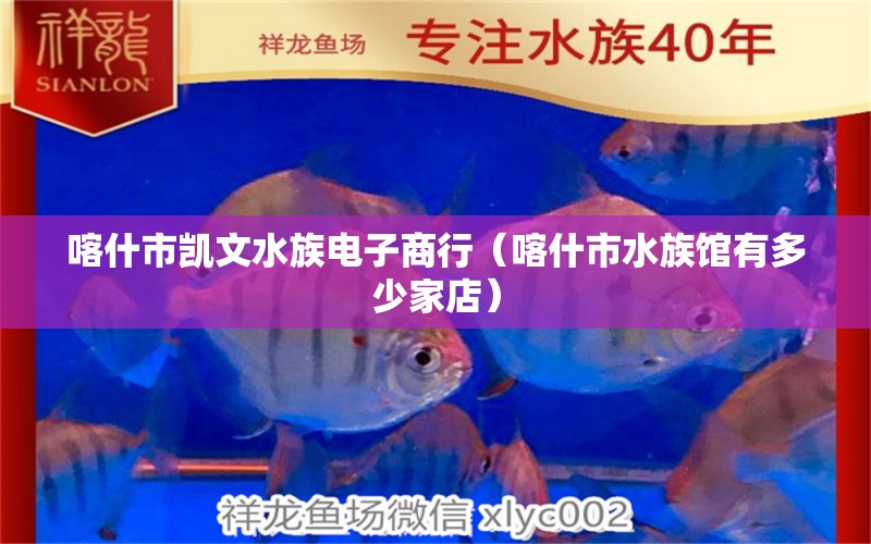 喀什市凱文水族電子商行（喀什市水族館有多少家店） 全國水族館企業(yè)名錄