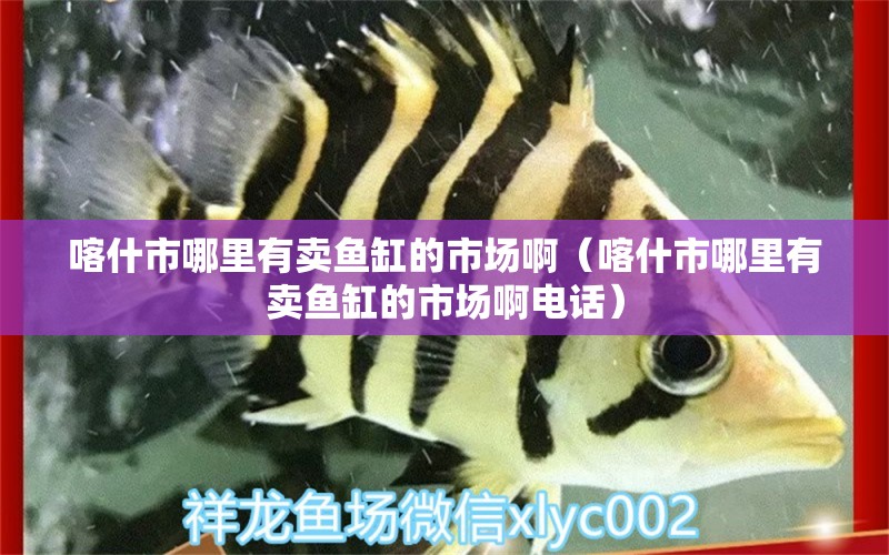 喀什市哪里有賣魚缸的市場?。κ彩心睦镉匈u魚缸的市場啊電話）