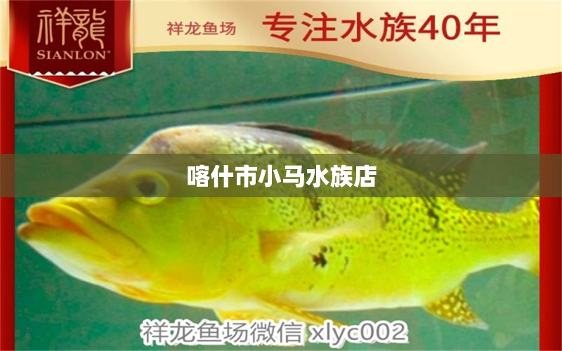 喀什市小馬水族店