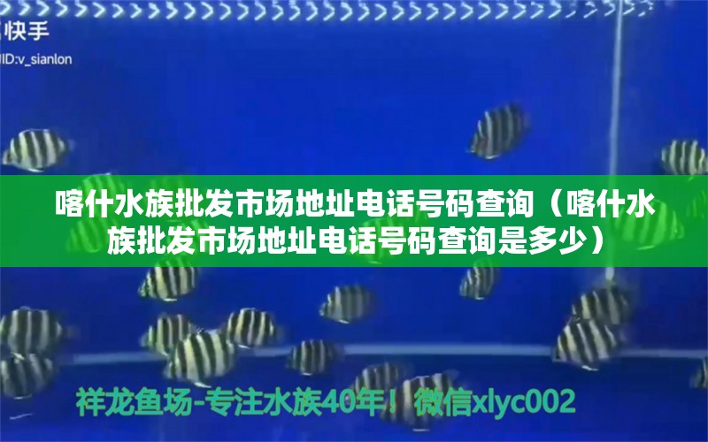 喀什水族批發(fā)市場(chǎng)地址電話號(hào)碼查詢(xún)（喀什水族批發(fā)市場(chǎng)地址電話號(hào)碼查詢(xún)是多少） 觀賞魚(yú)水族批發(fā)市場(chǎng)