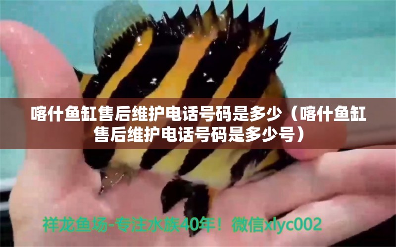 喀什魚缸售后維護(hù)電話號(hào)碼是多少（喀什魚缸售后維護(hù)電話號(hào)碼是多少號(hào)）