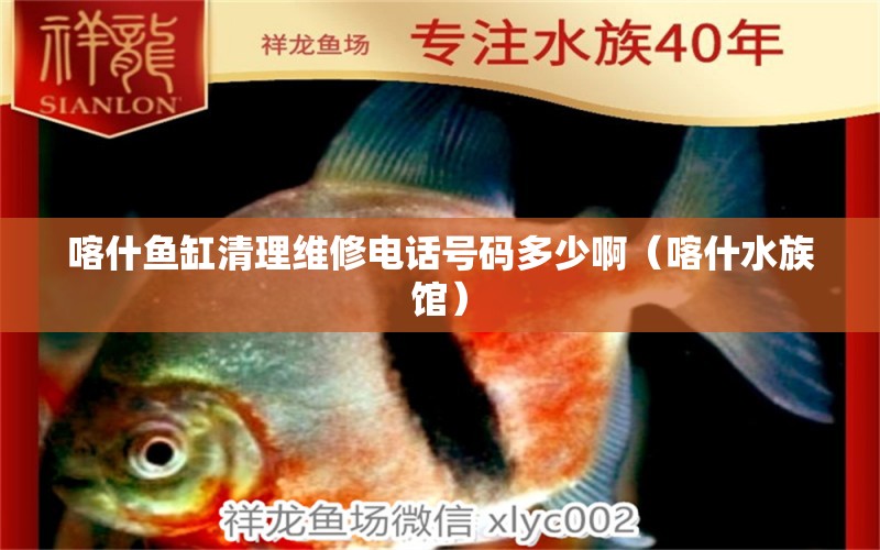 喀什魚(yú)缸清理維修電話號(hào)碼多少?。κ菜屦^） 野彩魚(yú)