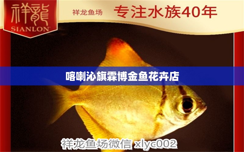 喀喇沁旗霖博金魚花卉店 全國水族館企業(yè)名錄