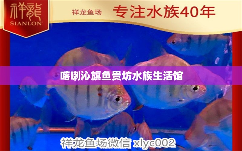 喀喇沁旗魚貴坊水族生活館 全國(guó)水族館企業(yè)名錄