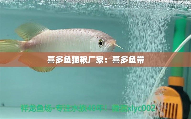 喜多魚貓糧廠家：喜多魚帶 觀賞魚