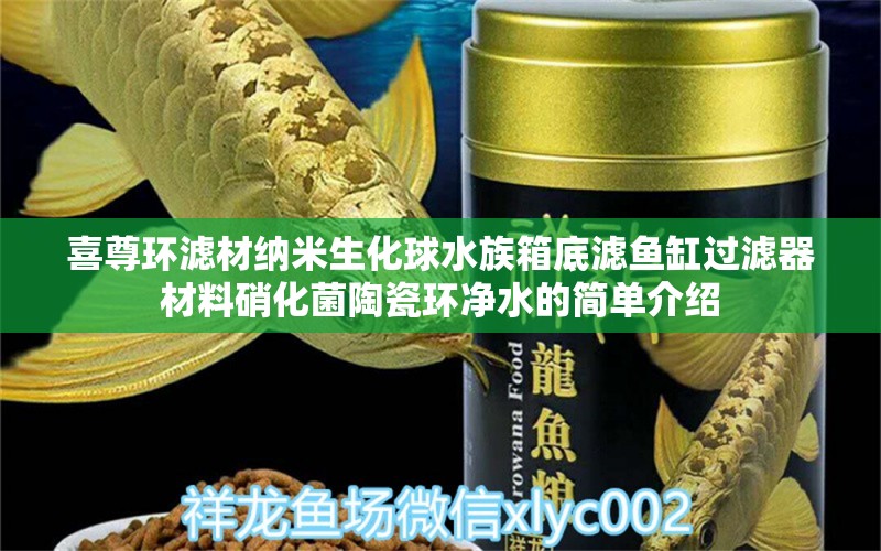 喜尊環(huán)濾材納米生化球水族箱底濾魚缸過濾器材料硝化菌陶瓷環(huán)凈水的簡(jiǎn)單介紹 魚缸/水族箱 第1張