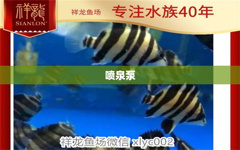 噴泉泵 廣州水族器材濾材批發(fā)市場(chǎng)