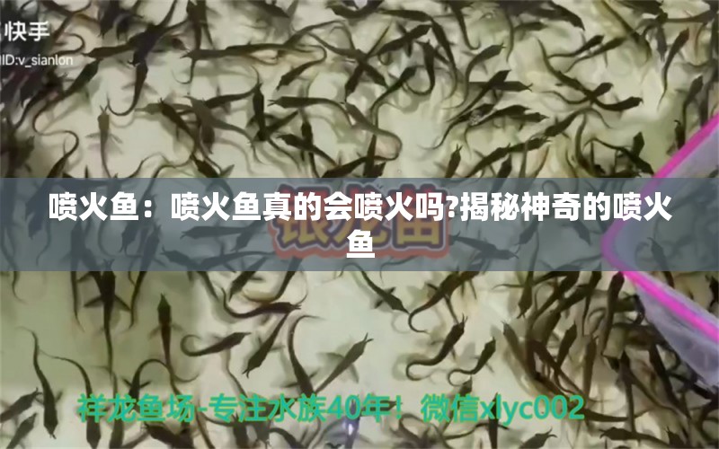 噴火魚(yú)：噴火魚(yú)真的會(huì)噴火嗎?揭秘神奇的噴火魚(yú) 照明器材