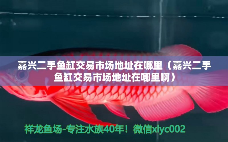 嘉興二手魚缸交易市場地址在哪里（嘉興二手魚缸交易市場地址在哪里?。? title=