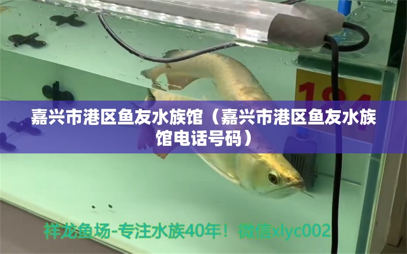 嘉興市港區(qū)魚友水族館（嘉興市港區(qū)魚友水族館電話號碼）