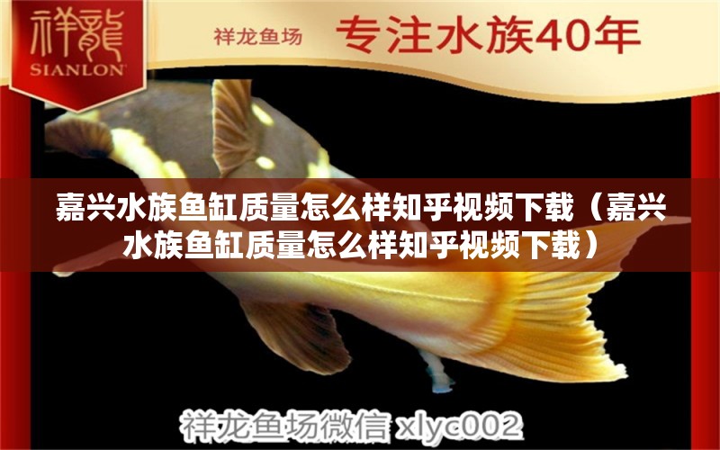 嘉興水族魚(yú)缸質(zhì)量怎么樣知乎視頻下載（嘉興水族魚(yú)缸質(zhì)量怎么樣知乎視頻下載）