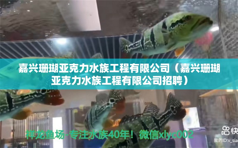 嘉興珊瑚亞克力水族工程有限公司（嘉興珊瑚亞克力水族工程有限公司招聘）