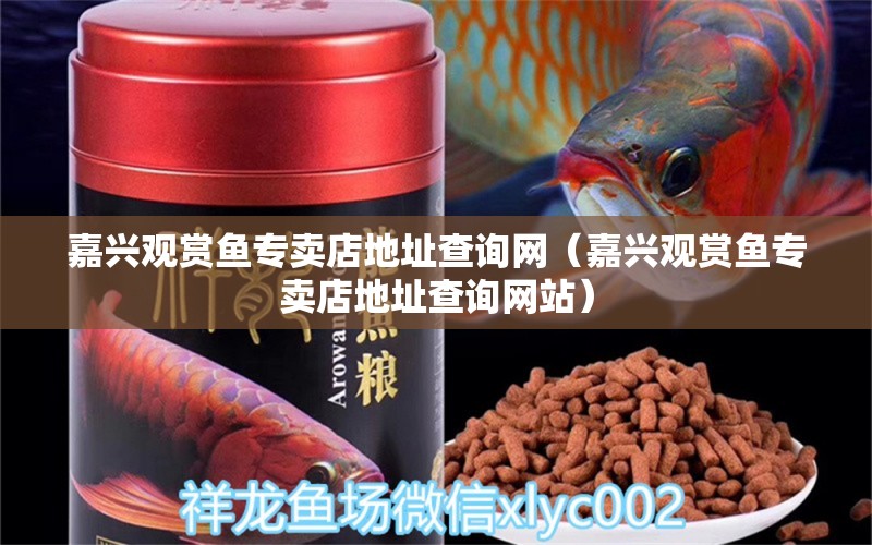 嘉興觀賞魚專賣店地址查詢網(wǎng)（嘉興觀賞魚專賣店地址查詢網(wǎng)站）