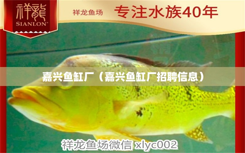 嘉興魚缸廠（嘉興魚缸廠招聘信息）