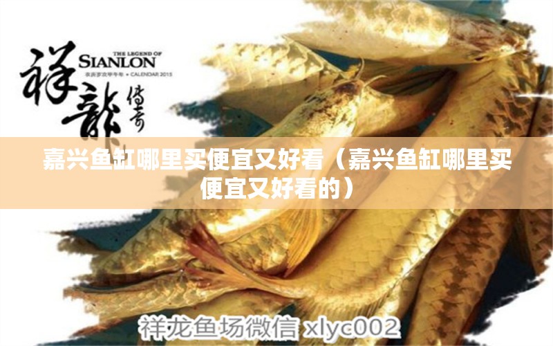 嘉興魚缸哪里買便宜又好看（嘉興魚缸哪里買便宜又好看的） 廣州孟吉爾