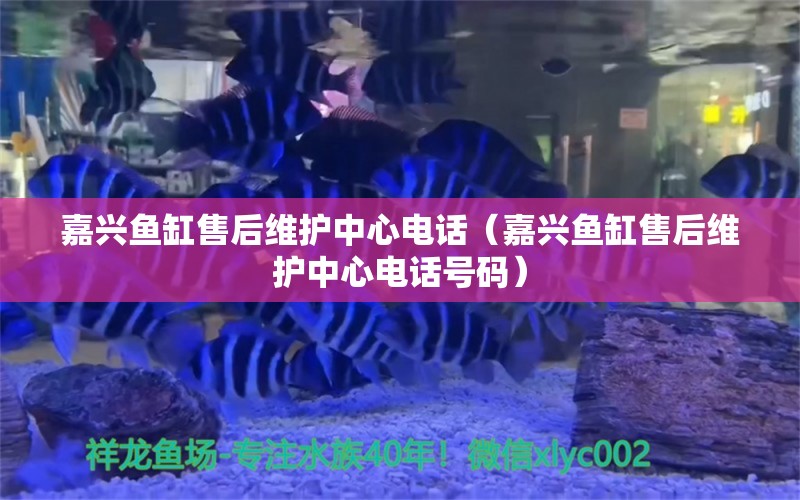 嘉興魚缸售后維護(hù)中心電話（嘉興魚缸售后維護(hù)中心電話號碼） 其他品牌魚缸