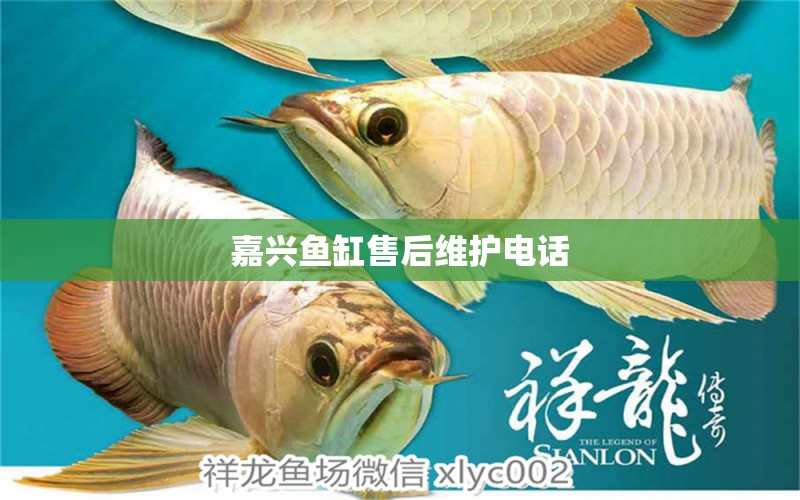 嘉興魚缸售后維護電話 其他品牌魚缸