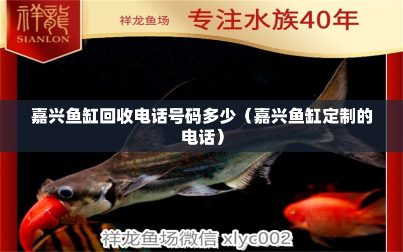 嘉興魚(yú)缸回收電話號(hào)碼多少（嘉興魚(yú)缸定制的電話）