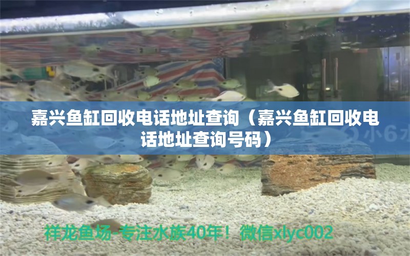 嘉興魚缸回收電話地址查詢（嘉興魚缸回收電話地址查詢號(hào)碼） 祥龍水族醫(yī)院