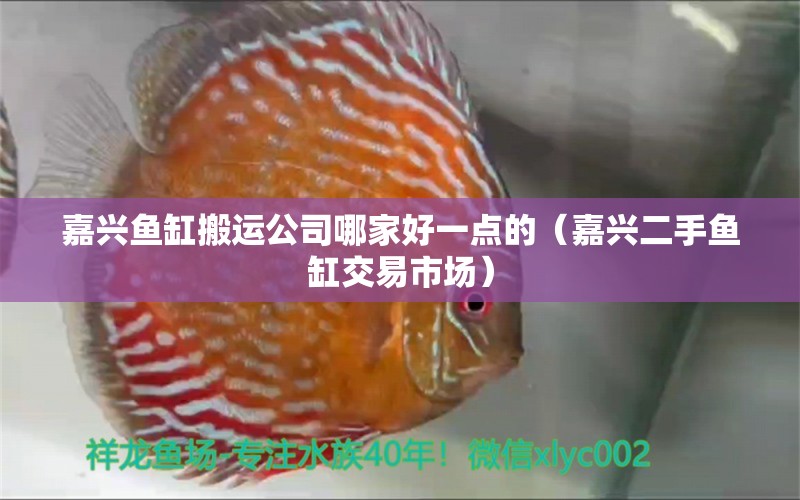 嘉興魚缸搬運公司哪家好一點的（嘉興二手魚缸交易市場）