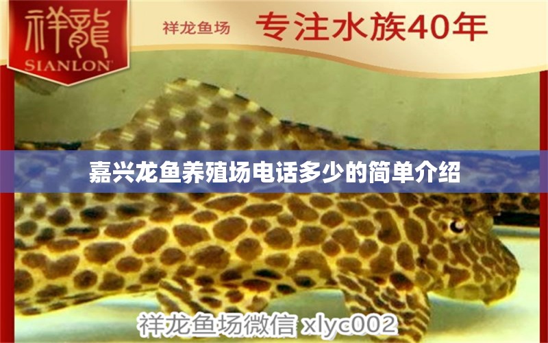 嘉興龍魚養(yǎng)殖場電話多少的簡單介紹 青龍魚