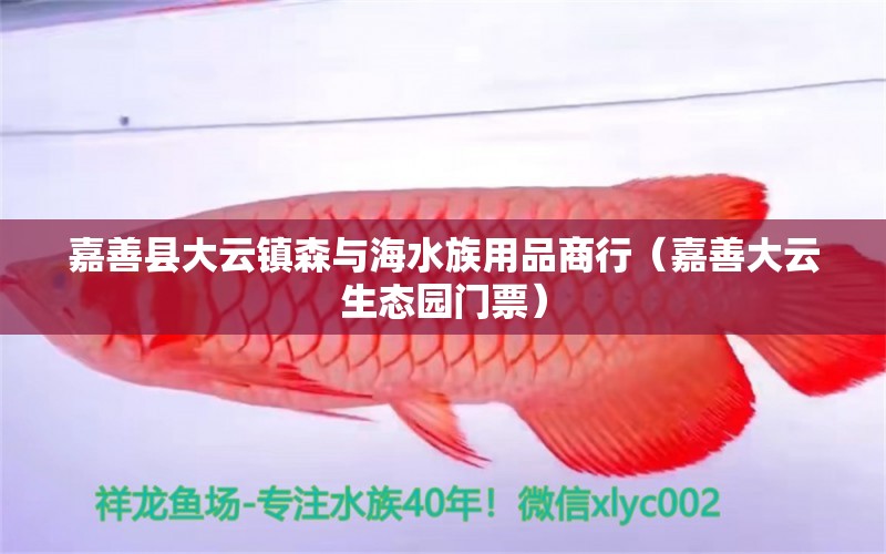 嘉善縣大云鎮(zhèn)森與海水族用品商行（嘉善大云生態(tài)園門票） 水族用品