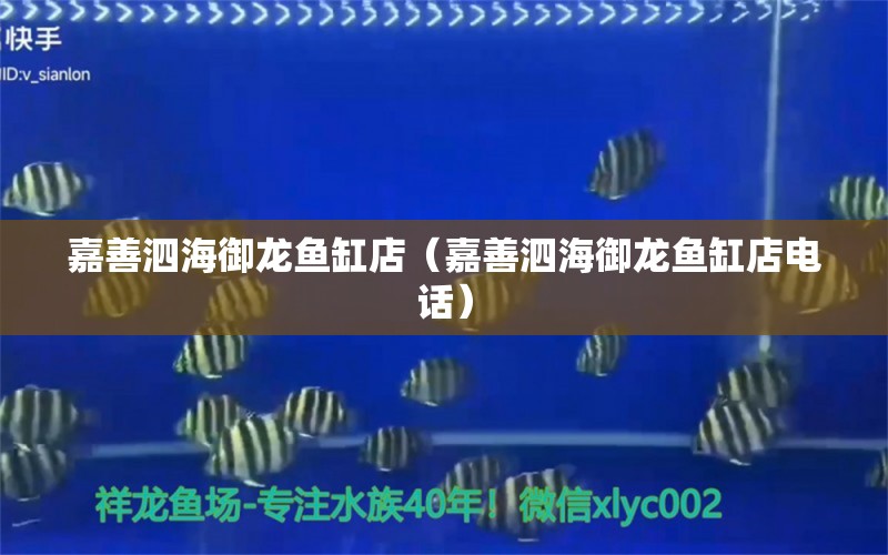 嘉善泗海御龍魚缸店（嘉善泗海御龍魚缸店電話）