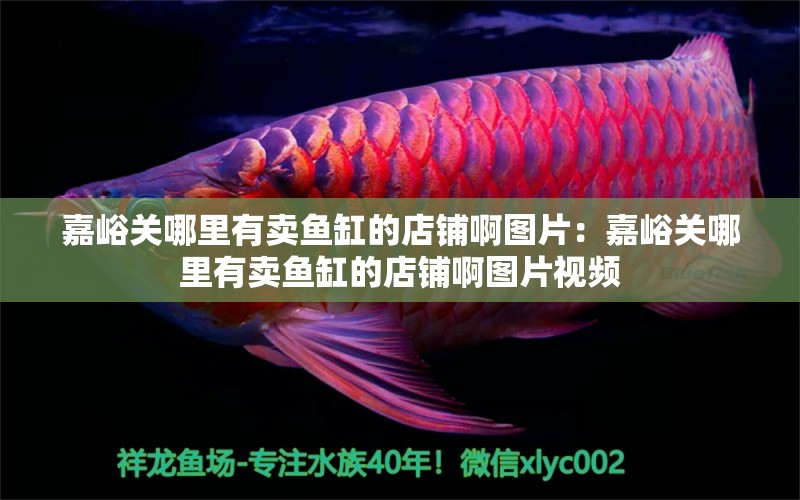 嘉峪關(guān)哪里有賣魚缸的店鋪啊圖片：嘉峪關(guān)哪里有賣魚缸的店鋪啊圖片視頻