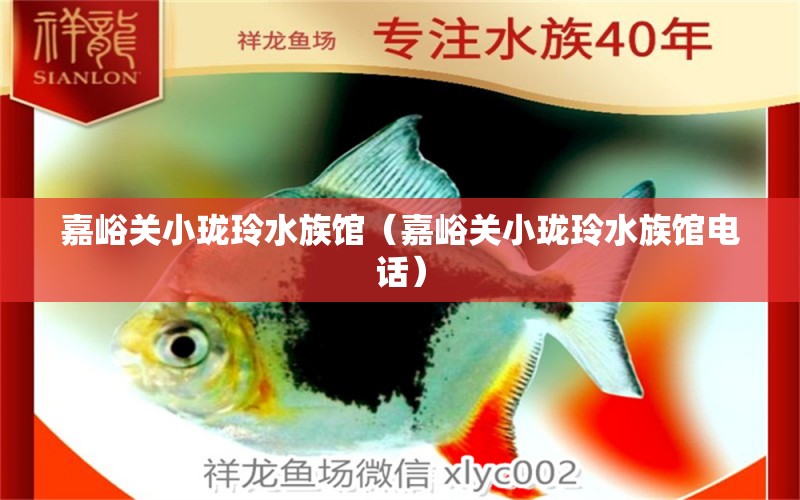 嘉峪關小瓏玲水族館（嘉峪關小瓏玲水族館電話） 全國水族館企業(yè)名錄