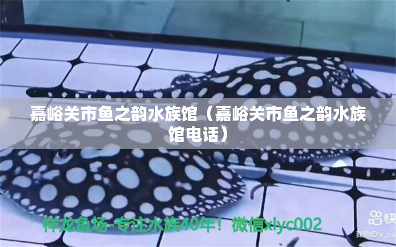 嘉峪關(guān)市魚之韻水族館（嘉峪關(guān)市魚之韻水族館電話）