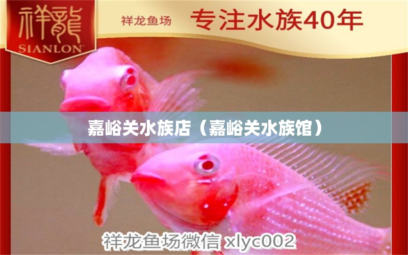 嘉峪關(guān)水族店（嘉峪關(guān)水族館） 觀賞魚市場