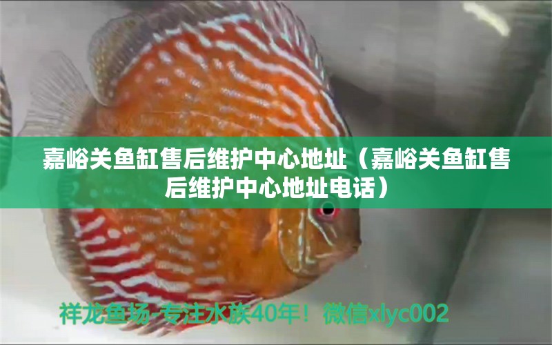 嘉峪關魚缸售后維護中心地址（嘉峪關魚缸售后維護中心地址電話）