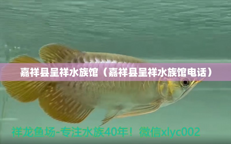 嘉祥縣呈祥水族館（嘉祥縣呈祥水族館電話）