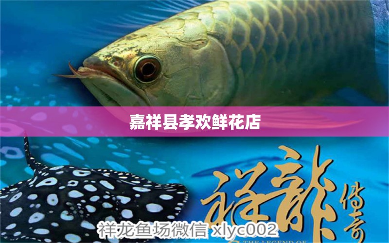 嘉祥縣孝歡鮮花店 全國水族館企業(yè)名錄